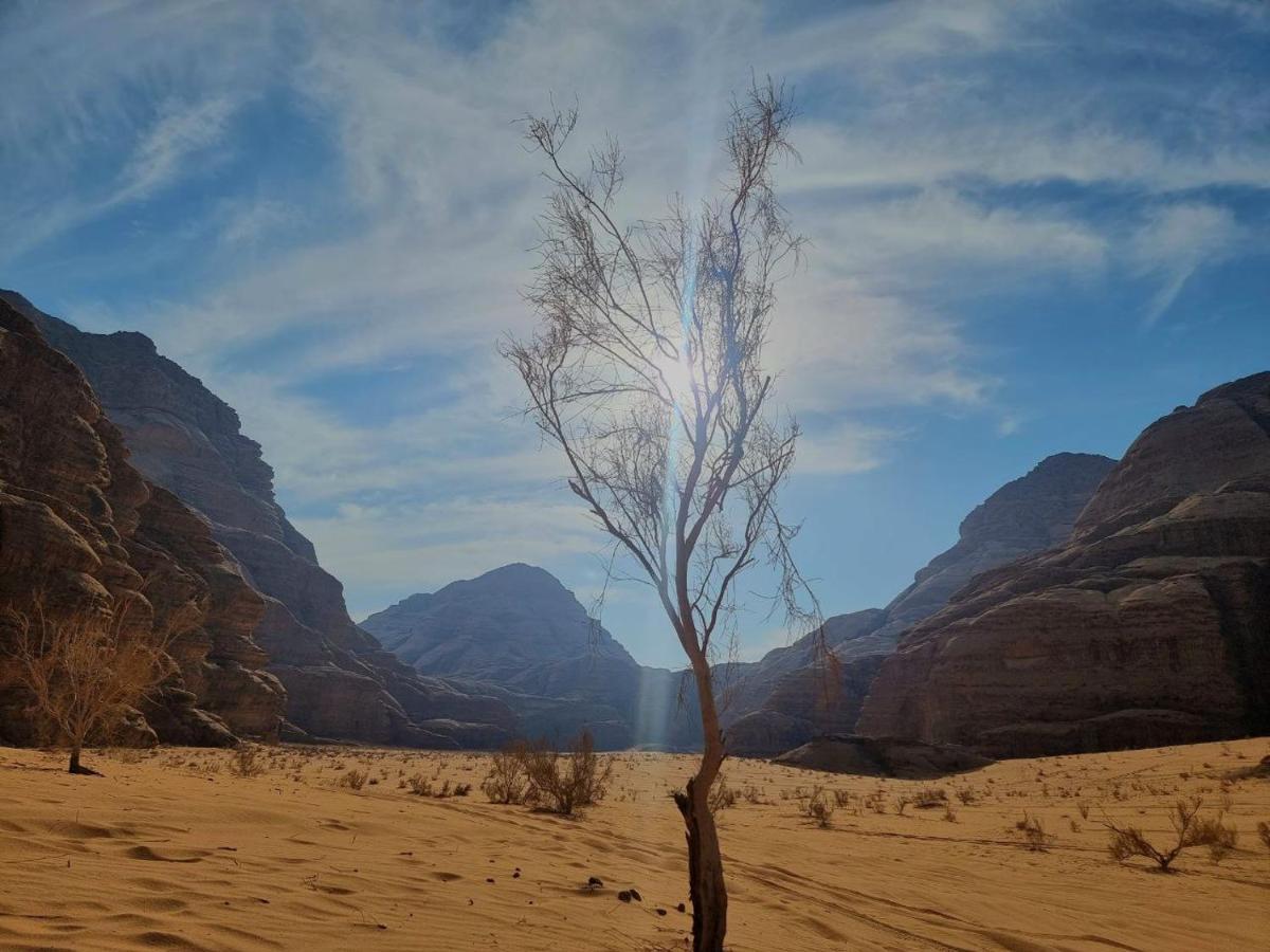 Wadi Rum Oscar Camp ภายนอก รูปภาพ